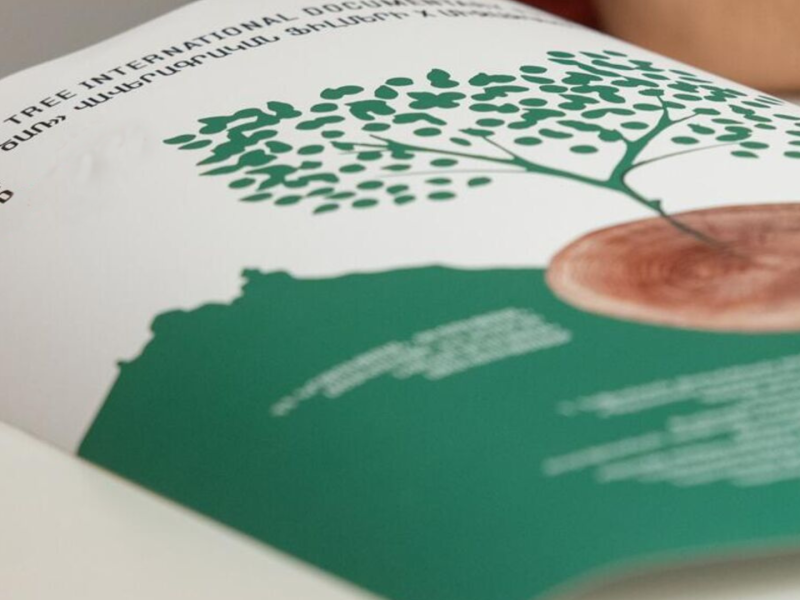 В Армении стартует XI фестиваль документальных фильмов «Абрикосовое дерево»