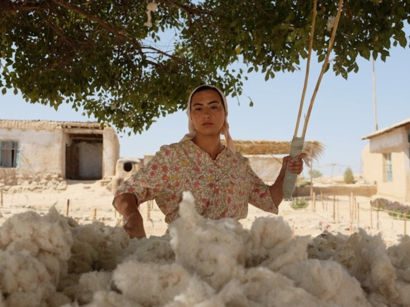 Узбекистан на экране Таллинна: между хлопковым полем и памятью кино