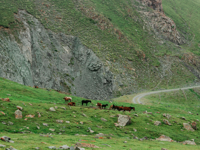 В Таджикистане в марте запустят платформу национального кино «tojikfilm.tv»